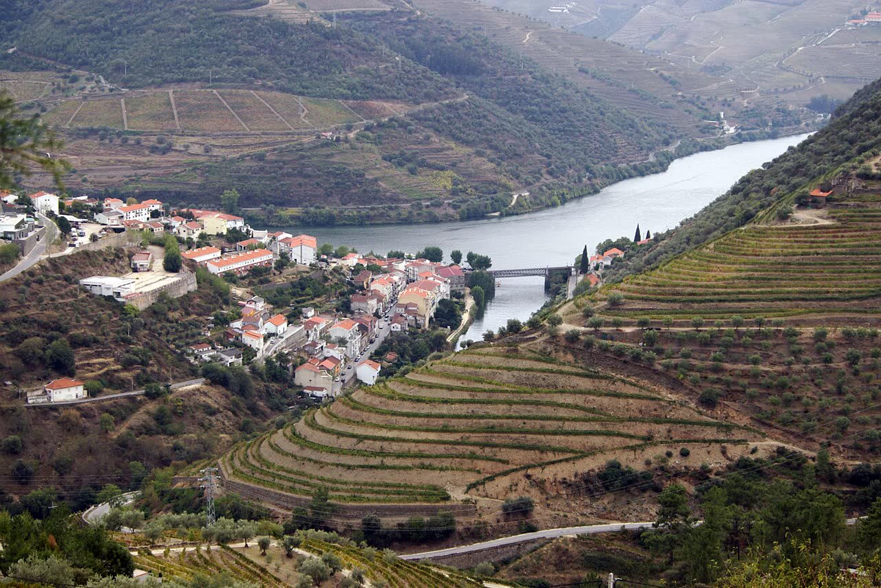 Best Douro Valley Quintas to Visit for Wine Tastings
