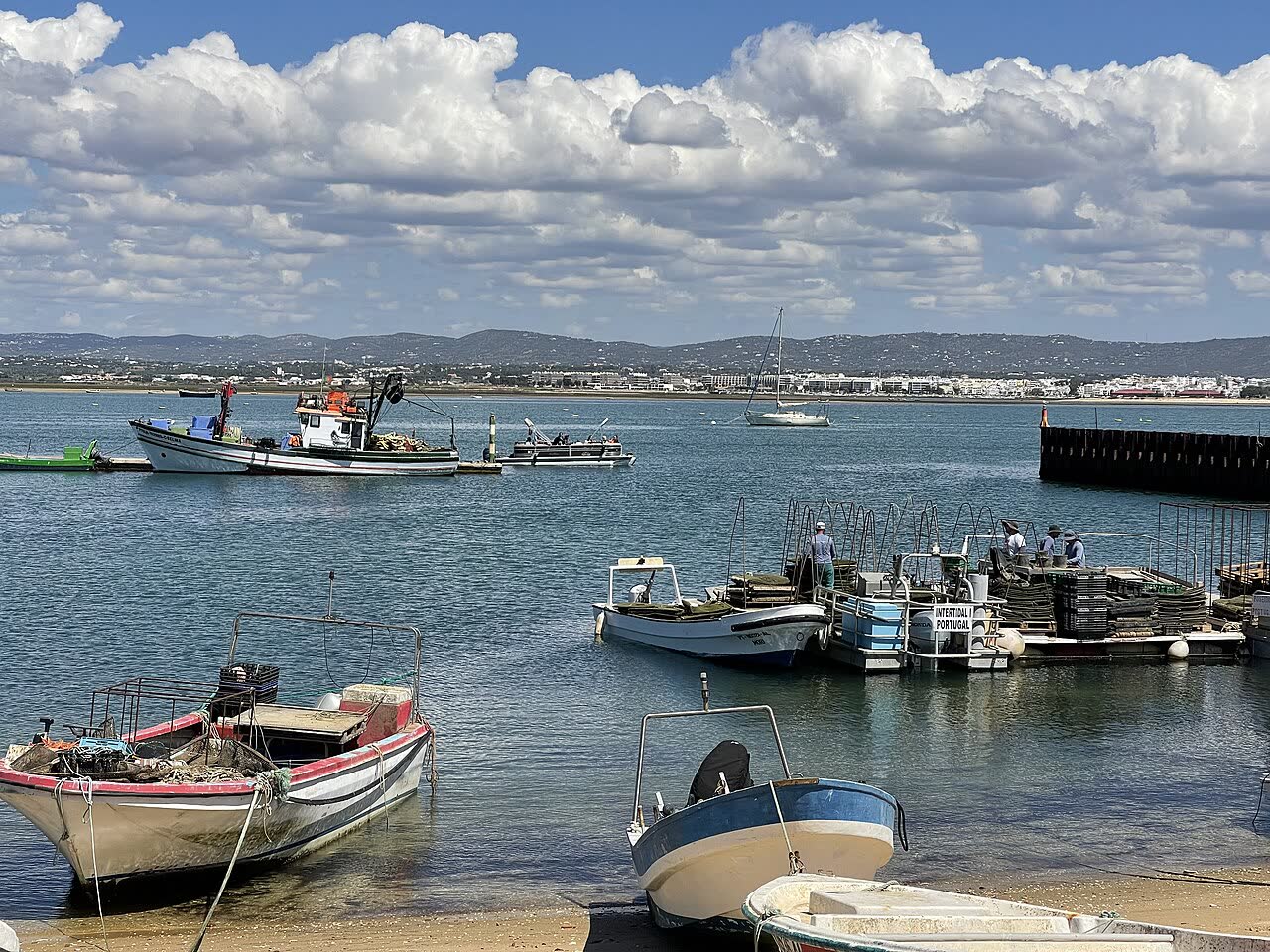 Culatra Island