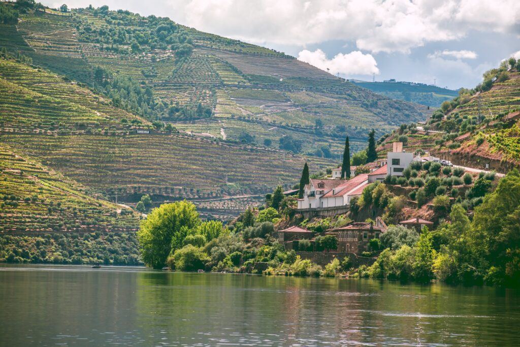Douro River cruise