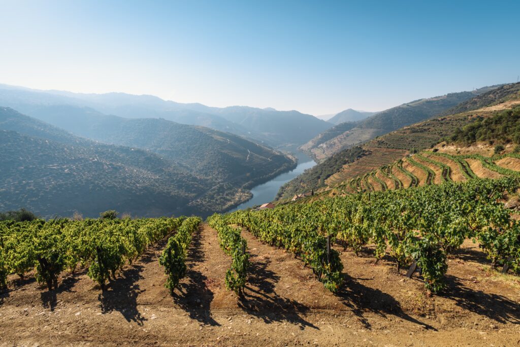 View of the wineries on the Douro river from Porto
