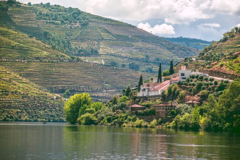 10 top rated Wine tours in douro valley