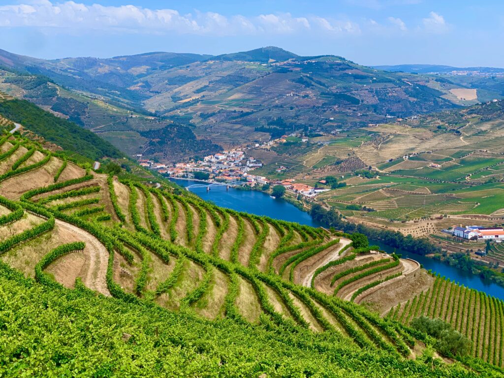 Private Douro Valley Tour from Porto with Cruise and Wine